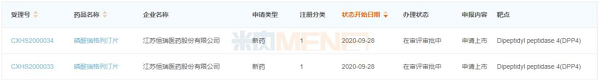 圖4：目前報(bào)產(chǎn)并在審的DPP-4抑制劑國(guó)產(chǎn)1類(lèi)新藥-6.png